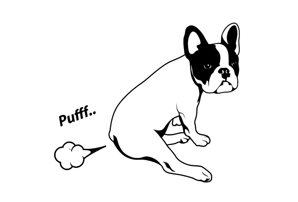 Why Do Bulldogs Fart So Much