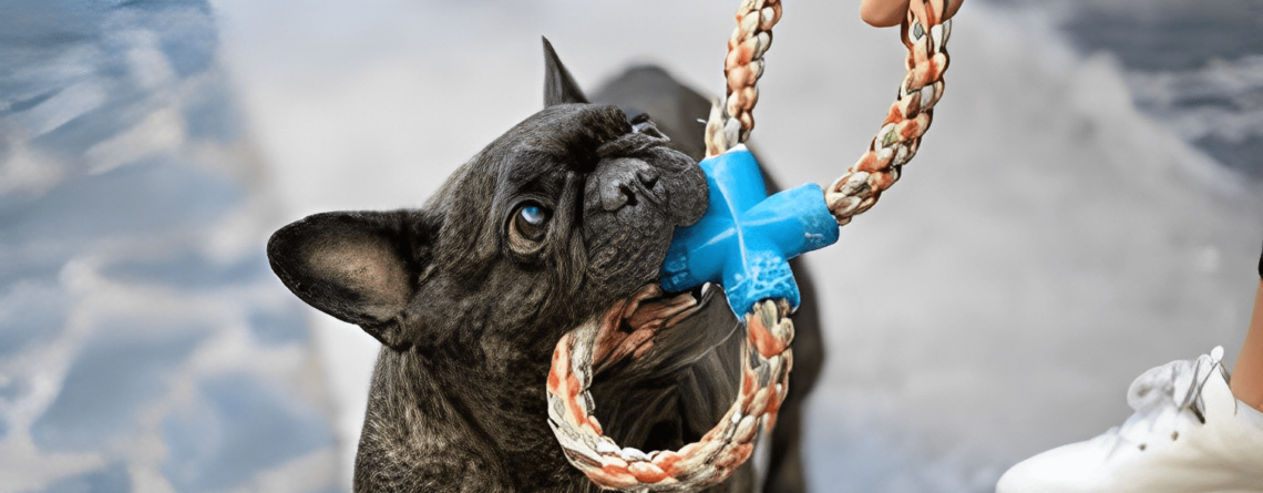 french bulldog bite strength