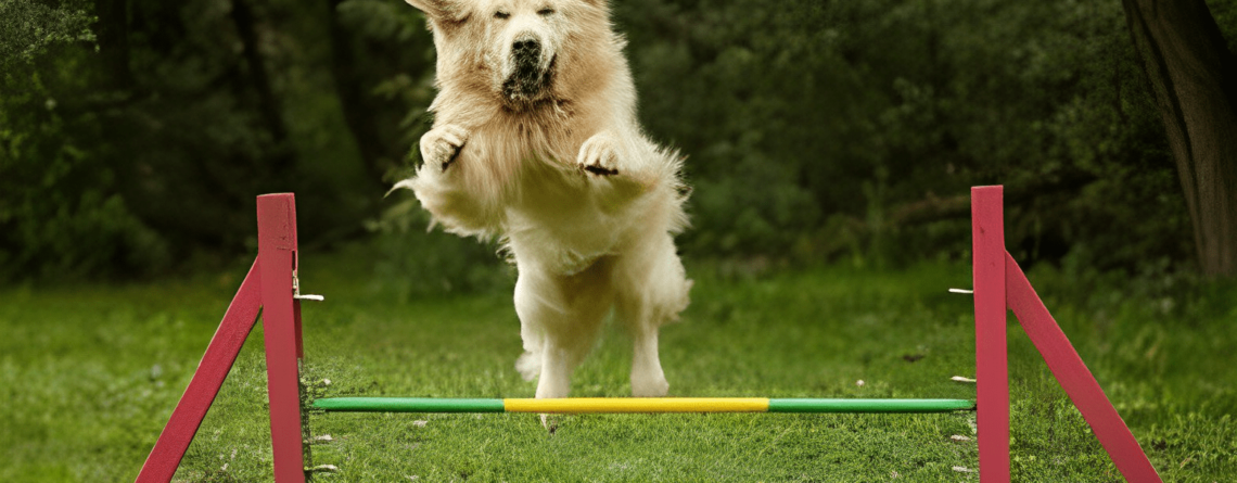 are golden retrievers high energy