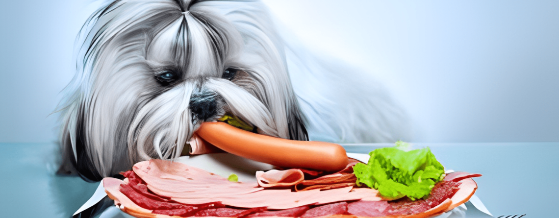 How Much Shih Tzu Eat